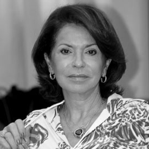 Maria Helena Guimarães de Castro